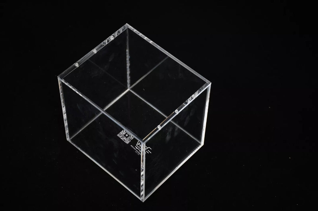 Acrylic Case For One Piece TCG Devil Fruits Collection